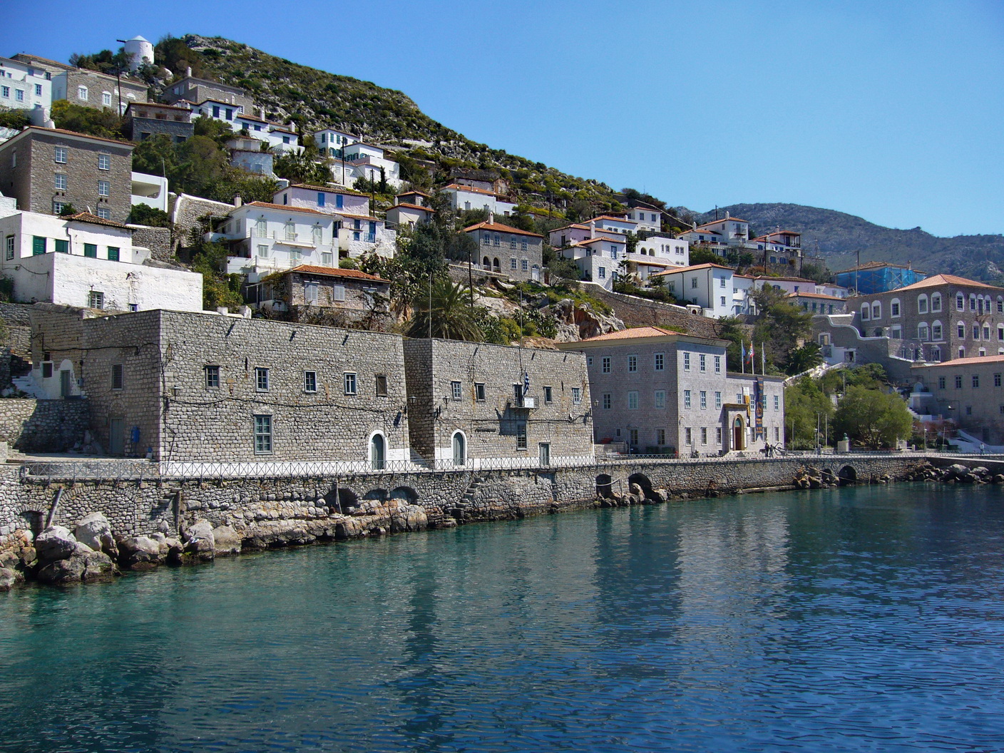 Hydra